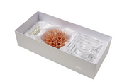 Peach Coral Italian 24% Lead Crystal Base Aromatherapy Diffuser